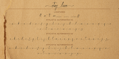 Stay Love Font Poster 10