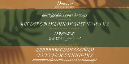 Dianora Font Poster 9