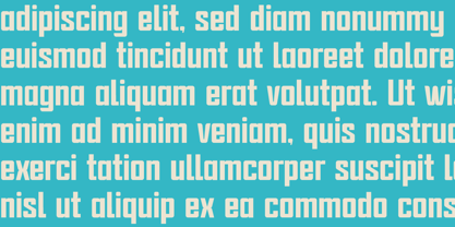 Sgraffito Display Font Poster 2