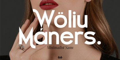 Woliu Maners Font Poster 1