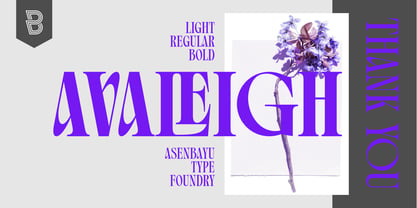 Avaleigh Font Poster 14