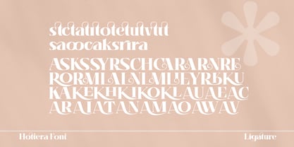 Hottera Font Poster 11