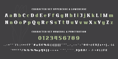 Qekruz Font Poster 10