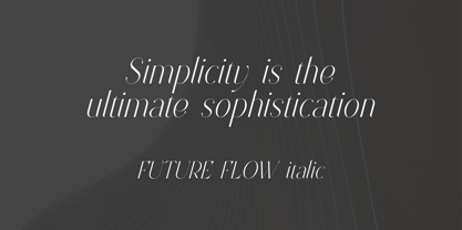 Future Flow Font Poster 9