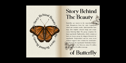 Lostangen Font Poster 3