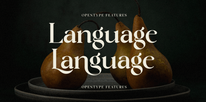 Lostangen Font Poster 7