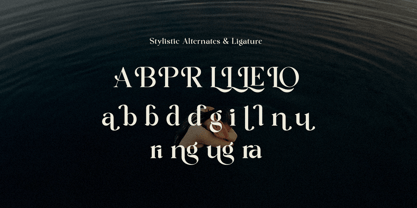 Lostangen Font Poster 10