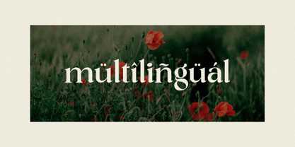 Lostangen Font Poster 11