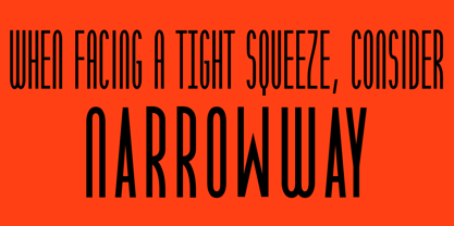 Narrow Way Font Poster 3