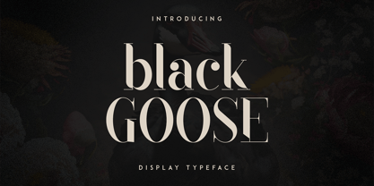 Black Goose Font Poster 1