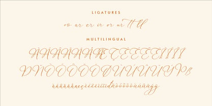 Martigale Font Poster 8