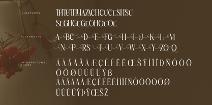 Charthe Font Poster 8