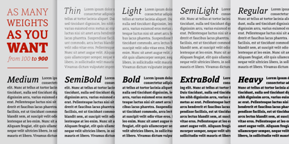 Directa Serif Variable Font Poster 8