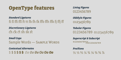 Directa Serif Variable Font Poster 9