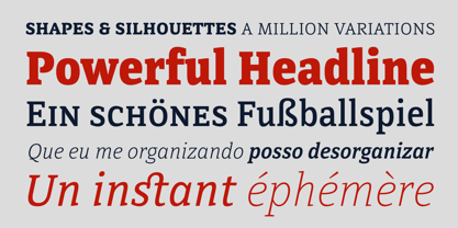 Directa Serif Variable Font Poster 5