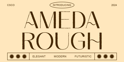 Ameda Rough Font Poster 1