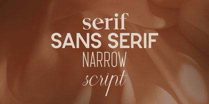 Serifora Font Poster 8