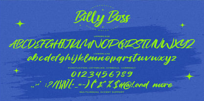 Billy Boss Font Poster 6