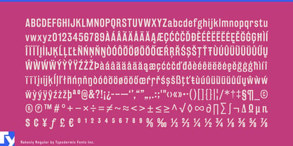 Rakesly Font Poster 7