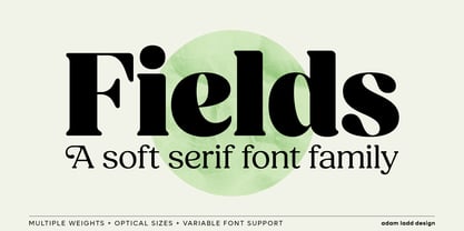 Fields Font Poster 1