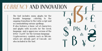 Aceisida Font Poster 6