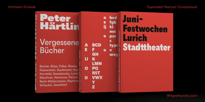 Hofmann Grotesk Font Poster 8