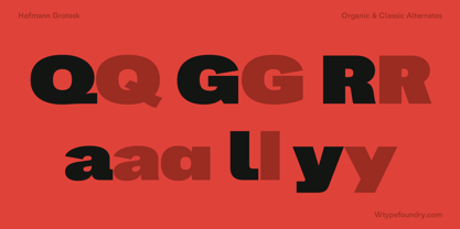 Hofmann Grotesk Font Poster 7