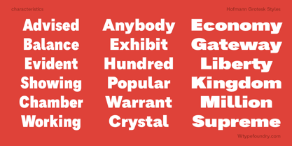 Hofmann Grotesk Police Poster 14