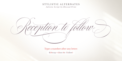 Juliette Wedding Font Poster 9