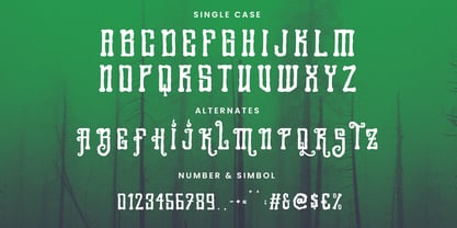 Scary Woods Font Poster 7