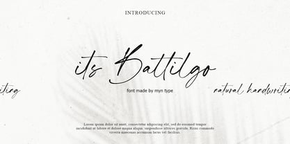 Its Battilgo Font Poster 1