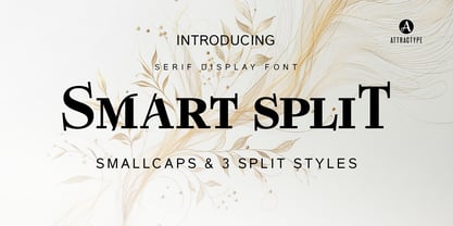 Smart Split Font Poster 1