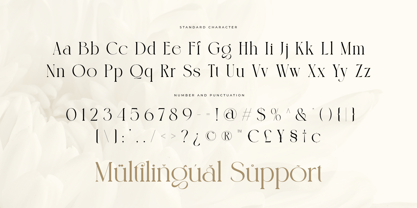 Megian Font Poster 8