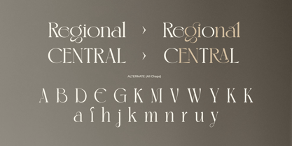 Megian Font Poster 10