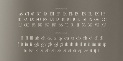 Megian Font Poster 9