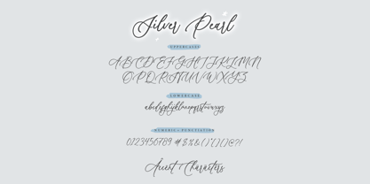 Silver Pearl Font Poster 7