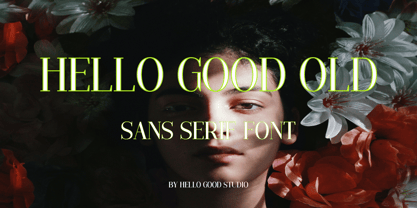 Hello good old style Fuente Póster 1