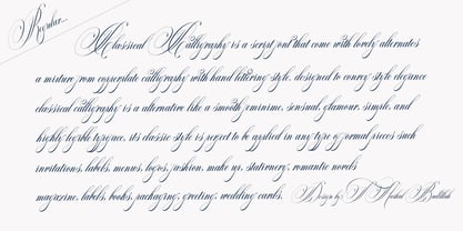 Classical Calligraphy Font Poster 7