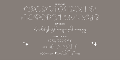 Catalistefa Signature Font Poster 7