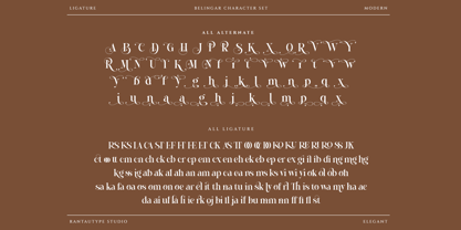 Belingar Font Poster 15