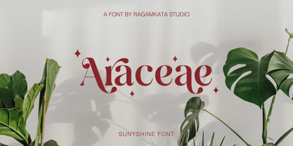 Sunyshine Font Poster 4