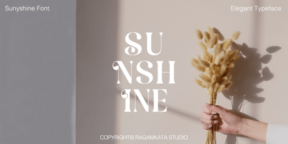 Sunyshine Font Poster 3