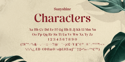 Sunyshine Font Poster 10