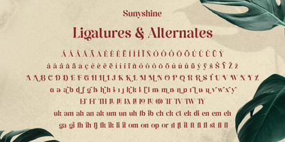 Sunyshine Font Poster 11