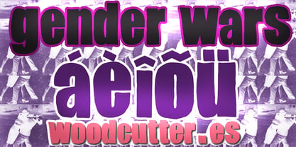 Gender Wars Font Poster 4