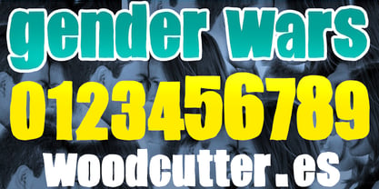 Gender Wars Font Poster 6