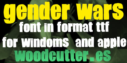 Gender Wars Font Poster 5