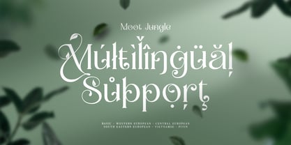 Moot jungle Font Poster 13