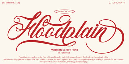 Floodplain Font Poster 1