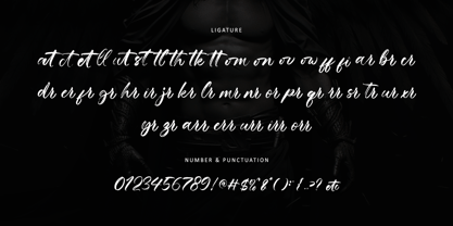 Mikhael Handwritten Font Poster 12